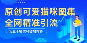 黑科技纯原创可爱猫咪图片，全网精准引流，实操5个VX号被加频繁副业资源库-时光-中创中赚-福缘-冒泡创业网实操副业项目教程和创业项目大全副业资源库