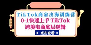 TikTok商家出海训练营：0-1快速上手 TikTok跨境电商底层逻辑(无中创水印)副业资源库-时光-中创中赚-福缘-冒泡创业网实操副业项目教程和创业项目大全副业资源库