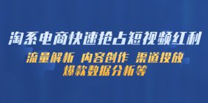 淘系电商快速抢占短视频红利：流量解析 内容创作 渠道投放 爆款数据分析等副业资源库-时光-中创中赚-福缘-冒泡创业网实操副业项目教程和创业项目大全副业资源库