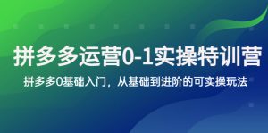 拼多多-运营0-1实操训练营，拼多多0基础入门，从基础到进阶的可实操玩法副业资源库-时光-中创中赚-福缘-冒泡创业网实操副业项目教程和创业项目大全副业资源库