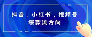 抖音，小红书，视频号爆款流视频制作，简单制作掌握流量密码副业资源库-时光-中创中赚-福缘-冒泡创业网实操副业项目教程和创业项目大全副业资源库