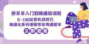 2023拼多多入门到精通培训班：0-100运营实战技巧 精细化系列课带你弯道超车副业资源库-时光-中创中赚-福缘-冒泡创业网实操副业项目教程和创业项目大全副业资源库