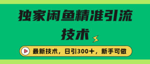 独家闲鱼引流技术，日引300＋实战玩法副业资源库-时光-中创中赚-福缘-冒泡创业网实操副业项目教程和创业项目大全副业资源库