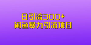 日引流300+闲鱼暴力引流项目副业资源库-时光-中创中赚-福缘-冒泡创业网实操副业项目教程和创业项目大全副业资源库