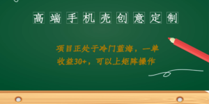 高端手机壳创意定制，项目正处于蓝海，每单收益30+，可以上矩阵操作副业资源库-时光-中创中赚-福缘-冒泡创业网实操副业项目教程和创业项目大全副业资源库