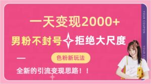 一天收款2000元，男粉不封号拒绝大尺度-色粉全新的变现方法副业资源库-时光-中创中赚-福缘-冒泡创业网实操副业项目教程和创业项目大全副业资源库