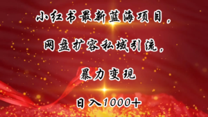 小红书最新蓝海项目，网盘扩容私域引流，暴力变现，日入1000+（附100T占位文件）副业资源库-时光-中创中赚-福缘-冒泡创业网实操副业项目教程和创业项目大全副业资源库